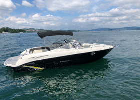 DEMO - Muster - Stingray  250 CR