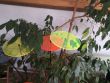 IMG_20230413_075051