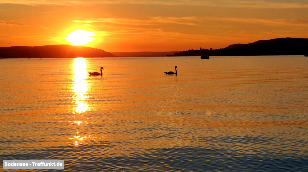 (Bild © bodensee-treffpunkt.de - W. Hodapp)