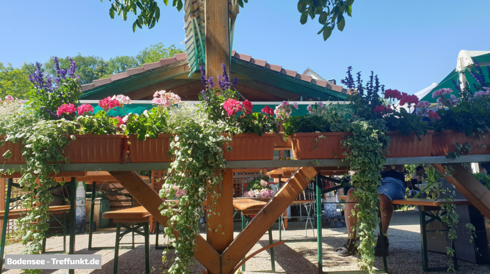 (Bild © bodensee-treffpunkt.de - W. Hodapp)