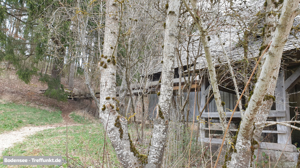 (Bild © bodensee-treffpunkt.de - W. Hodapp)