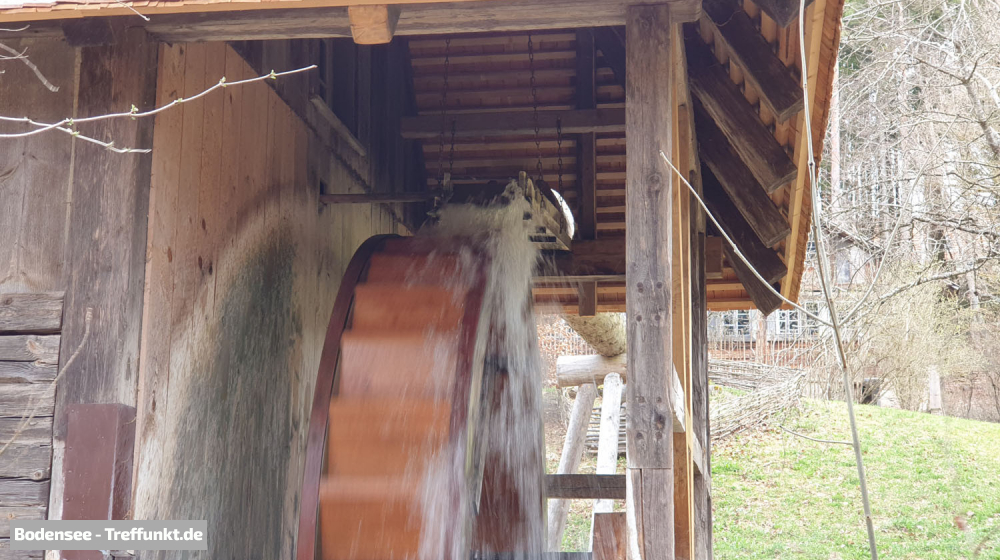 (Bild © bodensee-treffpunkt.de - W. Hodapp)