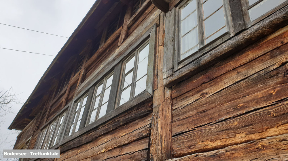 (Bild © bodensee-treffpunkt.de - W. Hodapp)