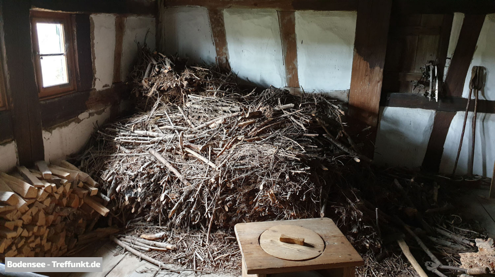 (Bild © bodensee-treffpunkt.de - W. Hodapp)